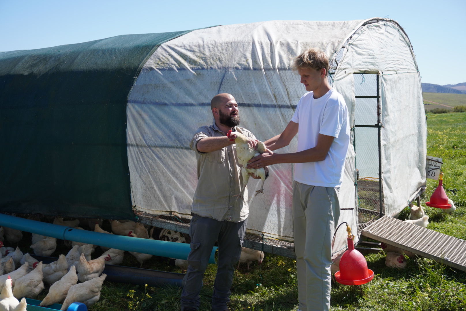 agro-ecologische boerderij