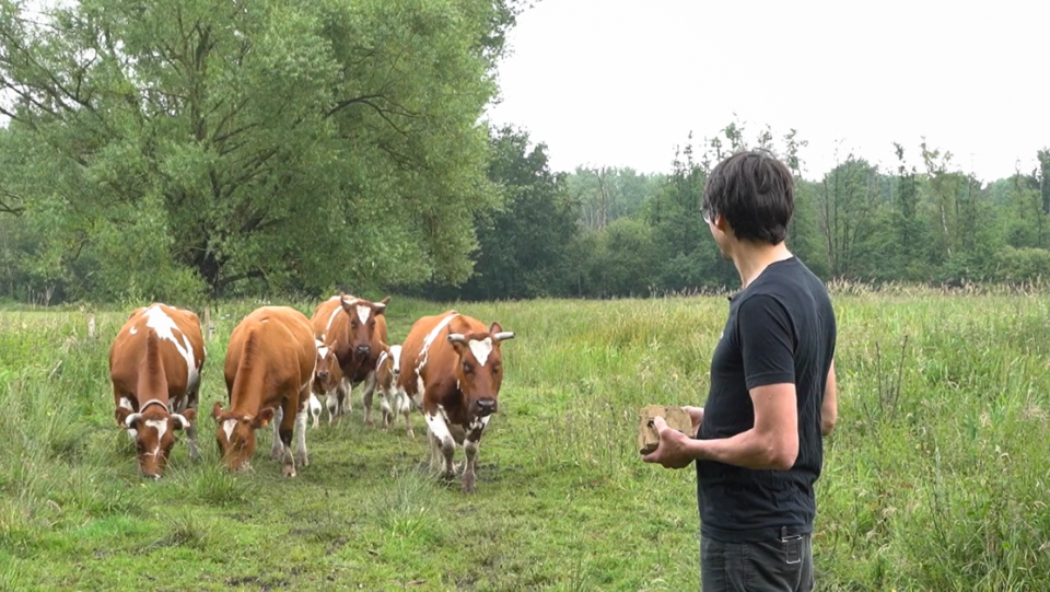 Kurt Sannen houdt rassen die vroeger vaak voorkwamen, maar nu eerder zeldzaam zijn