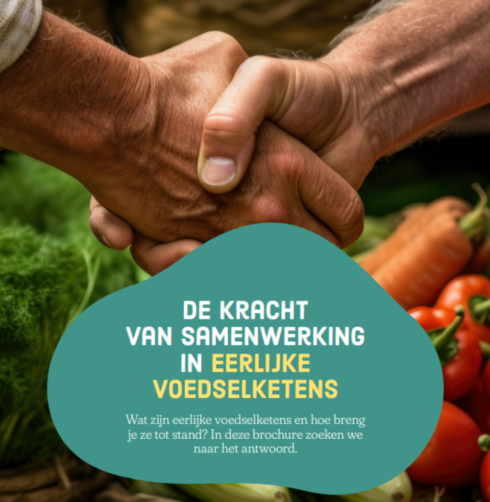 Brochure: De kracht van samenwerking in eerlijke voedselketens