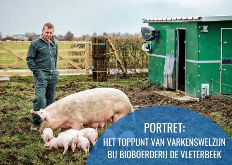 Portret: het toppunt van varkenswelzijn bij bioboerderij De Vleterbeek