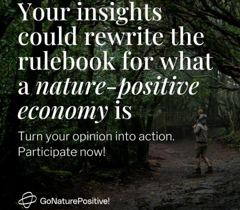 nature-positive economy